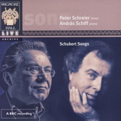 "Schwanengesang", Der Doppelgänger artwork