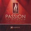 Passion to Worship, 2009