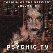Really Real by Psychic TV