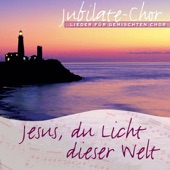 Jesus, du Licht dieser Welt artwork