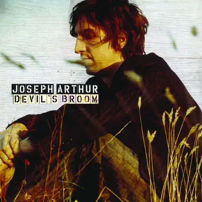 Devil's Broom (Live) - Single - Joseph Arthur