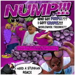 I Got Grapes (World Wide Treemix) - EP by Nump album reviews, ratings, credits