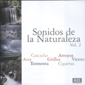 Natural Sound - Aves De La Foresta