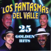 25 Golden Hits: Los Fantasmas del Valle