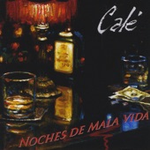 Noches De Mala Vida artwork