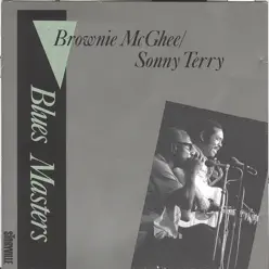 Blues Masters Vol. 5 - Brownie McGhee