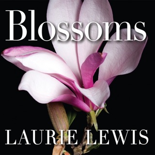 Earth Amp Sky Songs Of Laurie Lewis By Laurie Lewis On