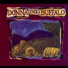 Donna the Buffalo