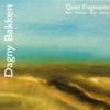 Quiet Fragments