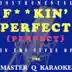 Pink - F**kin' Perfect [Karaoke/Instrumental Version] song reviews