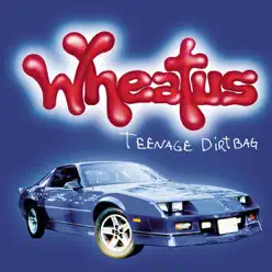 Teenage Dirtbag - Single - Wheatus