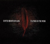 Feather in the Wind