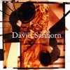 The Dream - David Sanborn