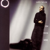 James Taylor - Slap Leather (Album Version)