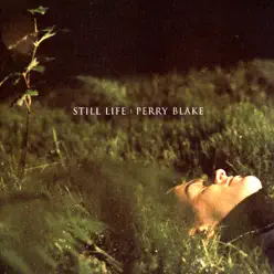 Still Life - Perry Blake