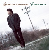 Ty Herndon - Living in a Moment