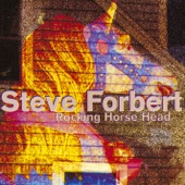 Steve Forbert - Moon Man (I'm Waiting On You)