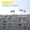 Council Estate - EP, 2008