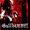 Endless Nauseous Days - Gallhammer lyrics