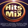 Hits Im Mix