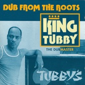 Dub from the Roots artwork