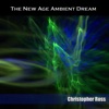 The New Age Ambient Dream
