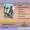 Karaoke - Wedding Songs, Vol. 1 album lyrics, reviews, download