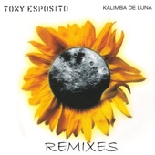 Kalimba De Luna (Kamasutra & Bini Extended Vocal Mix) artwork