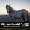 Into The Wild (Peter Horrevorts Big Five remix) - JML lyrics