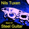 Best of Steel Guitar