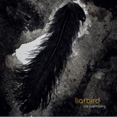 Liarbird artwork