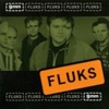 Fluks - Solen Skinner