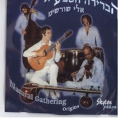 ילדים זה שמחה Yeladim Ze Simcha artwork