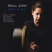 Neill Lyons - The Mountain Lark, Mcgoldricks Reel
