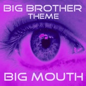 Big Brother UK TV Theme (Radio Edit) artwork