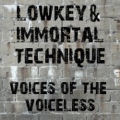 Voices of the Voiceless artwork