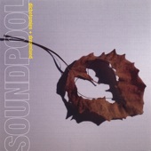 Soundpool - Do What You Love