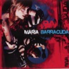 Maria Barracuda, 2004