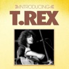 T. Rex - Metal Guru