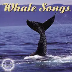 Nature's Rhythms - Whale Songs by Columbia River Group Entertainment album reviews, ratings, credits