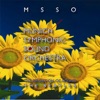 MSSO Munich Symphonic Sound Orchestra - Help