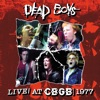 Live! At CBGB, 1977