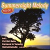 Summernight Melody, Folge 1