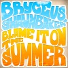 Blame It On the Summer - EP