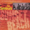 Sunset Beach: The Best of the Sentinals, 2009