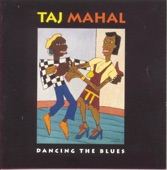 Taj Mahal - Going To The River