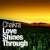 Chakra-Love Shines Through (Alex M.O.R.P.H. Remix)