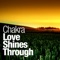 Love Shines Through (Alex M.O.R.P.H. Remix) - Chakra lyrics