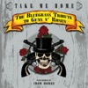 Pickin' On Series - Paradise City (feat. Iron Horse)