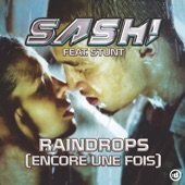 Raindrops (Encore Une Fois Part II) (Radio Edit) artwork